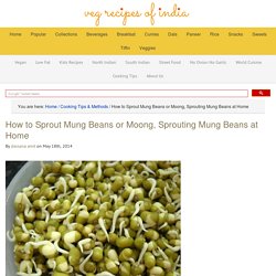How to Sprout Mung Beans or Moong, Sprouting Mung Beans at Home