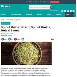 Sprout Guide: How to sprout grains, nuts and beans
