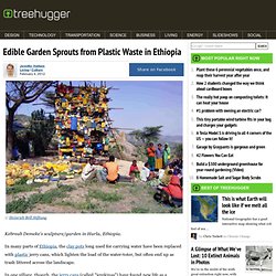 Edible Garden Sprouts from Plastic Waste in Ethiopia