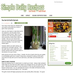 How to Grow Your Own Garlic Chives « Simple Daily RecipesSimple Daily Recipes