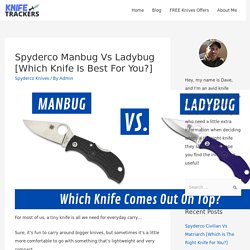 Spyderco Manbug Vs Ladybug [Which Knife Is Best For You?] - Knife Trackers