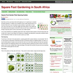 Square Foot Garden Plant Spacing Guides