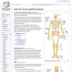 Liste des os du squelette humain