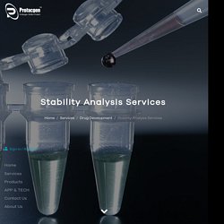 Stability Analysis Services