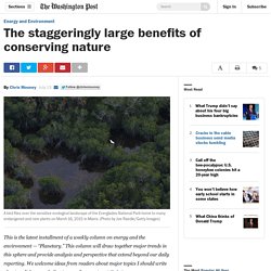 The staggeringly large benefits of conserving nature
