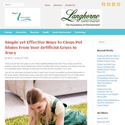 How to Get Rid of Pet Stains on Your Artificial Grass in Tracy
