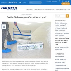 Do the Stains on your Carpet haunt you?