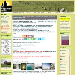 Menhir de Coat ar Ster [Menhir de Chef du Bois] Standing Stone (Menhir) : The Megalithic Portal and Megalith Map: