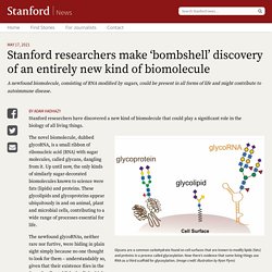 study reveals new biomolecule