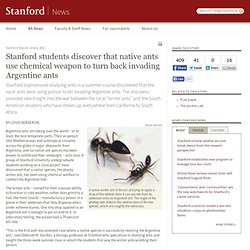 students discover that native ants use chemical weapon to turn back invading Argentine ants