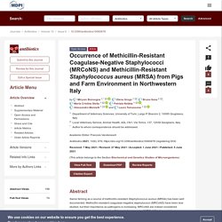 ANTIBIOTICS 05/06/21 Occurrence of Methicillin-Resistant Coagulase-Negative Staphylococci (MRCoNS) and Methicillin-Resistant Staphylococcus aureus (MRSA) from Pigs and Farm Environment in Northwestern Italy