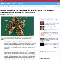 MEDICAL PRESS 26/03/18 A new mechanism involved in Staphylococcus aureus virulence and antibiotic resistance