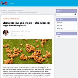 Staphylococcus Epidermidis - Staphylococci negativo de coagolase