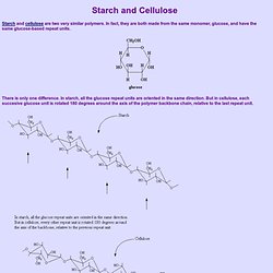 Starch and Cellulose