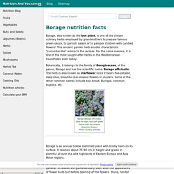 Borage (starflower) herb nutrition facts and health benefits