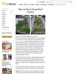 How to Start a Green Roof Garden