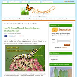 How To Start A Monarch Butterfly Garden