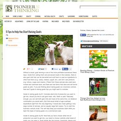 Guide To Raising Goats
