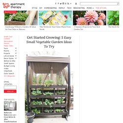 Get Started Growing: 5 Easy Small Vegetable Garden Ideas To Try