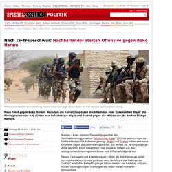 Boko Haram: Tschad und Niger starten neue Offensive