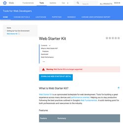 Web Starter Kit — Web Fundamentals