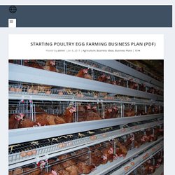Starting Poultry Egg Farming Business Plan (PDF) - StartupBiz Global