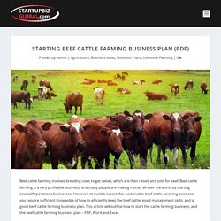 Starting Beef Cattle Farming Business Plan (PDF) - StartupBiz Global