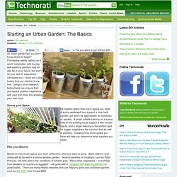 Starting an Urban Garden: The Basics - Technorati DIY