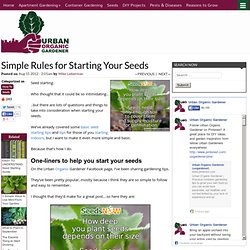 Simple Rules for Starting Your Seeds