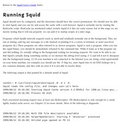 Starting Squid - Squid User Guide