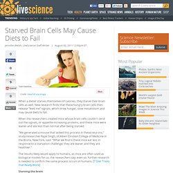 Starved Brain Cells May Be Why Diets Fail