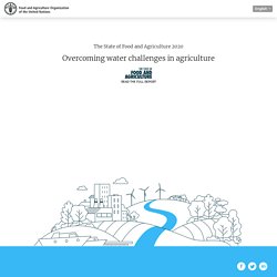 The State of Food and Agriculture 2020