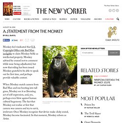 A Statement from the Monkey