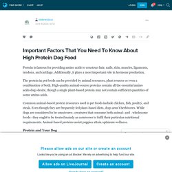 Important Factors That You Need To Know About High Protein Dog Food: statewideus — LiveJournal