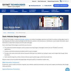 Customized Static Website Design from Leading Company - Skynet Technologies