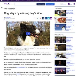 Dog stays by missing boy’s side