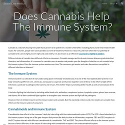 Steady Care Medical - Does Cannabis Help The Immune System?