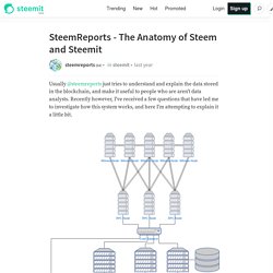 SteemReports - The Anatomy of Steem and Steemit