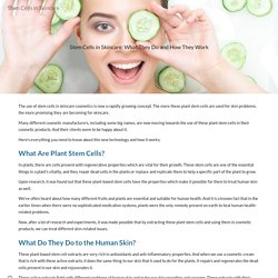 Stem Cells in Skincare