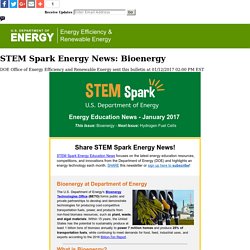 STEM Spark Energy News: Bioenergy