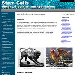 stemcellbioethics - Module 7 - Human-Animal Chimeras