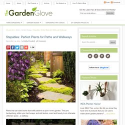 Stepables: Perfect Plants for Paths and Walkways