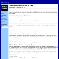 Un exemple du forçage des TTL DNS