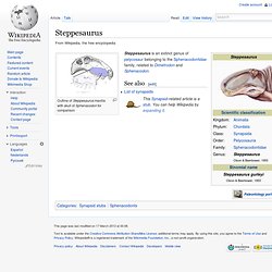 Steppesaurus