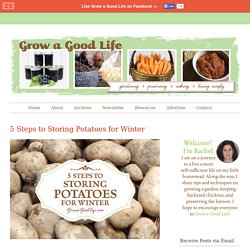 5 Steps to Storing Potatoes for Winter