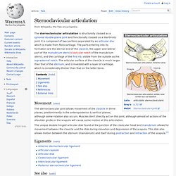 Sternoclavicular articulation