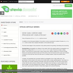 How Can I Grow and Process My Own Stevia?