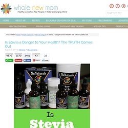 Is Stevia Safe? Is Stevia Bad for You? The Truth Comes Out