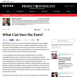 What Can Save the Euro?