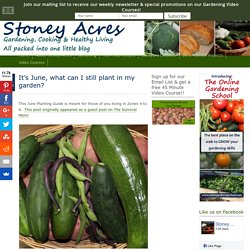 It's June, what can I still plant in my garden? - Stoney Acres